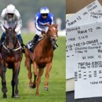 Your Guide to Horse Betting Exchange Tips Tricks and More