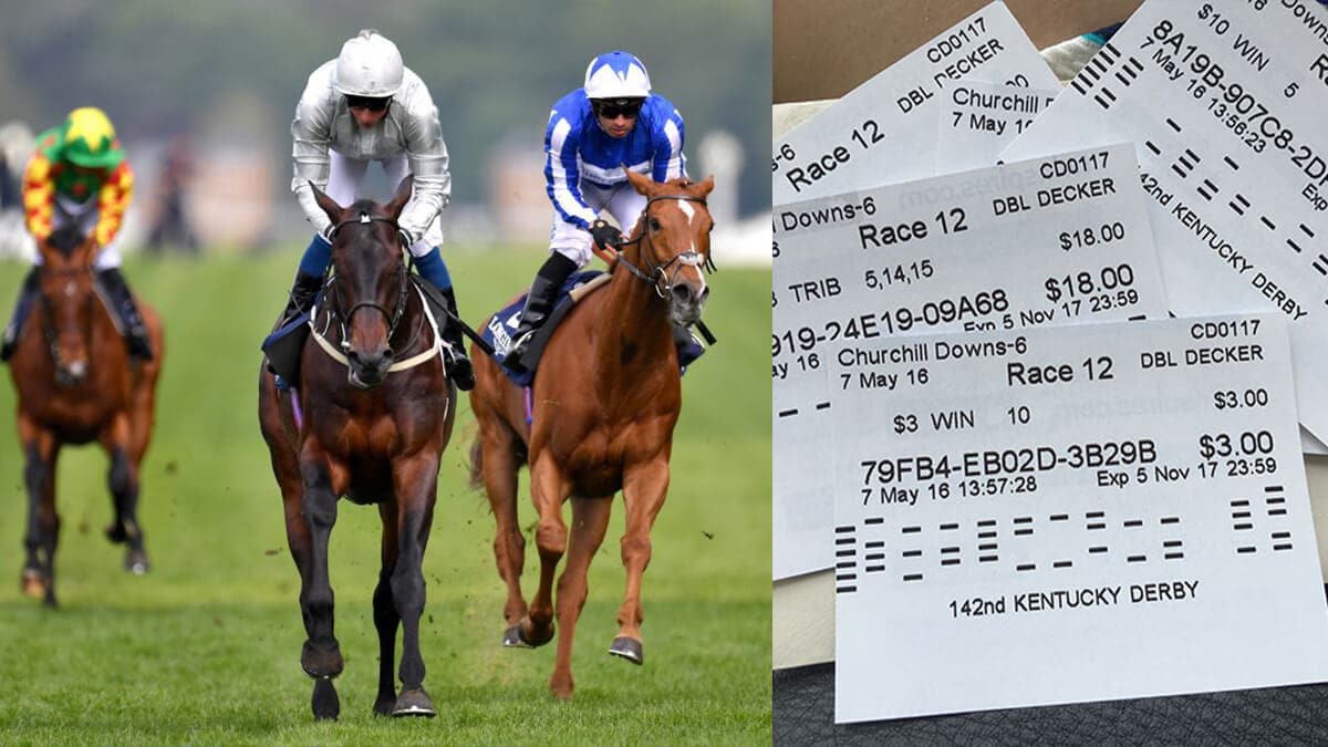 Your Guide to Horse Betting Exchange Tips Tricks and More